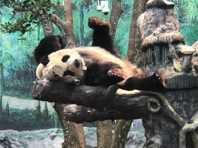 安装维修