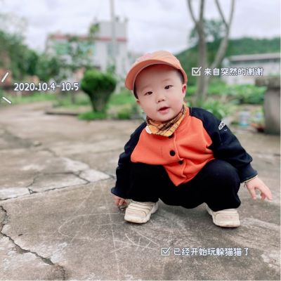 打木条装长城板，高空车或者架子上面作业，