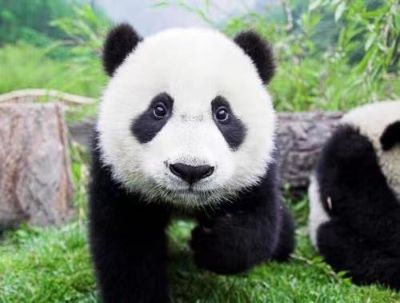 标准安装  验收结清   3樘超高木门  8组窗套  一组三联动合金门  一组合金平开门  价格沟通