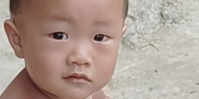 窗帘，防护网