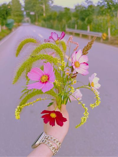 找师傅