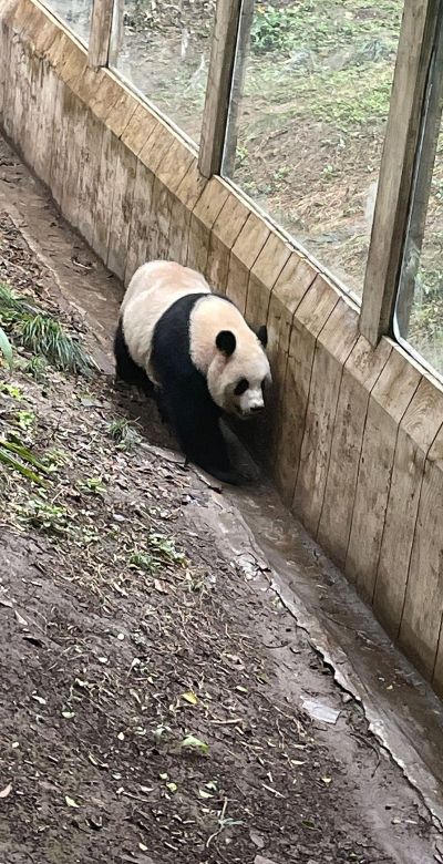无