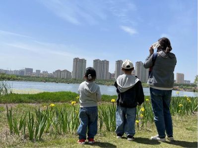 楼梯铺地板革，0.9米×12米
