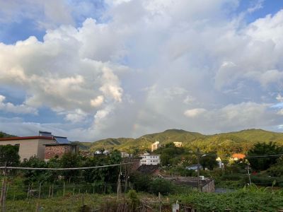 各种