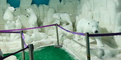 搬家！送货。都可以找我，认真负责，15812137396