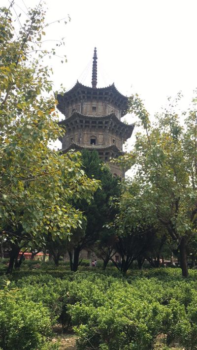 服务空调乐器乐器开车空调