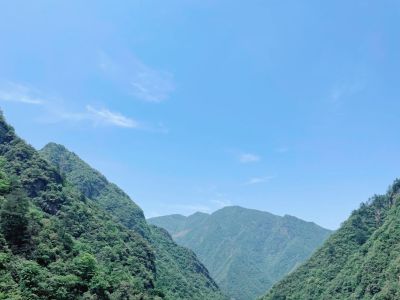 维修店铺灯具3盏，店铺有梯子，白天可以维修