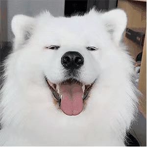 床维修，价可谈