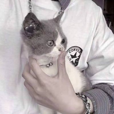 衣柜橱柜安装