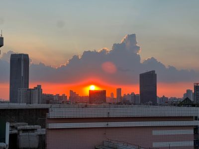木门需平整上漆修复