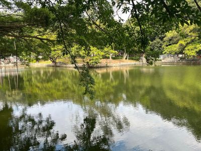 平面设计