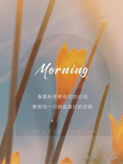凤凰三轮车