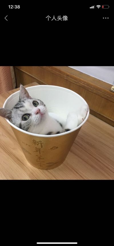 水电安装维修专业电工