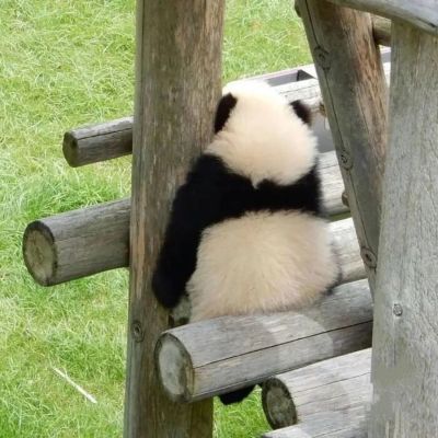 无