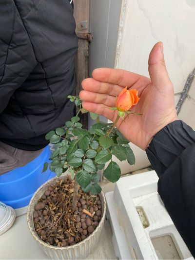 水电安装