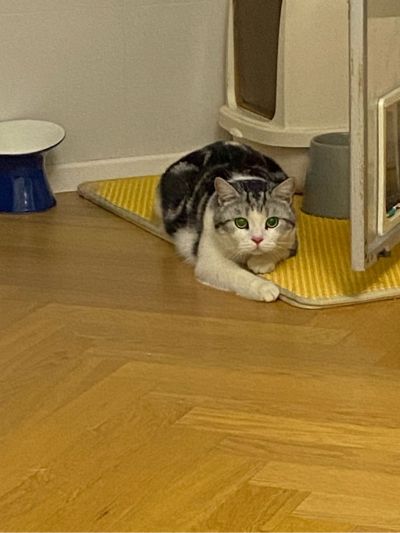 换地板