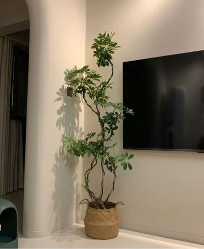 有沙子水泥 把太阳能安装到平房顶 接一个水龙头和花洒