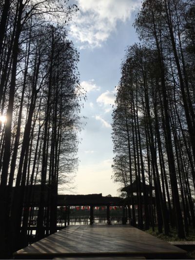 智能马桶