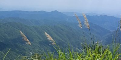 不锈钢，门窗