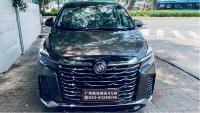 安装二个吊灯