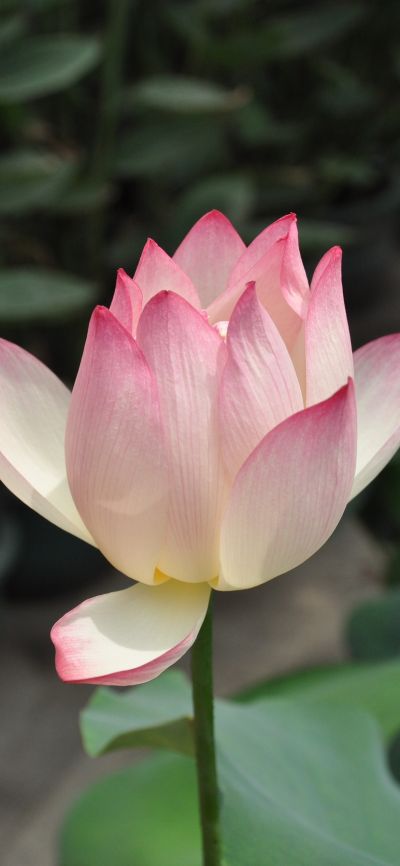 木工