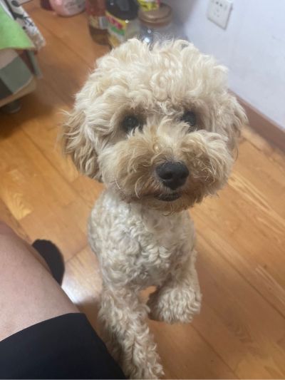 装修