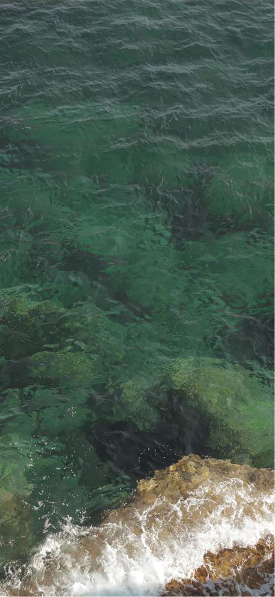 轨道灯