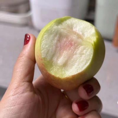 需要木工师傅补天花