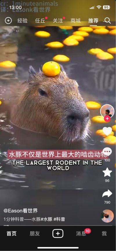 安装窗帘