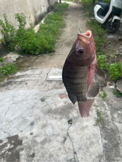 定制安装
