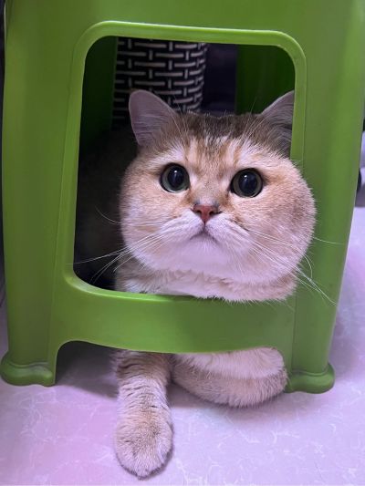 金属床架4处切割及焊接
