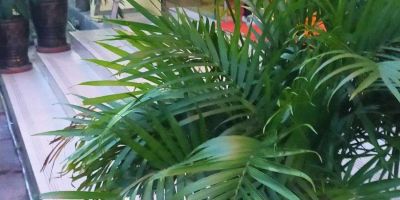 无拆除专业拆除专业拆除