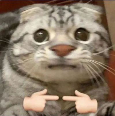 电视