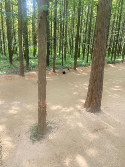 家具定制安装