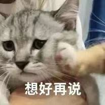 安装
