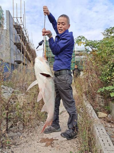 本人装修出身