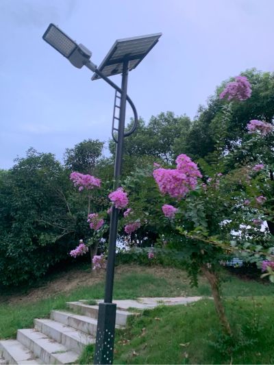 电工