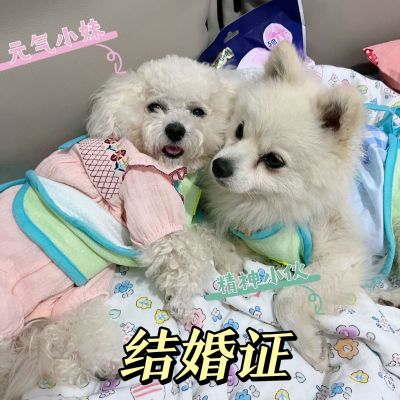 有一块石材磕碰到了一点点，需要修补打磨一下，10来分钟就可以搞定