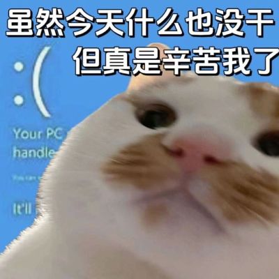 批发