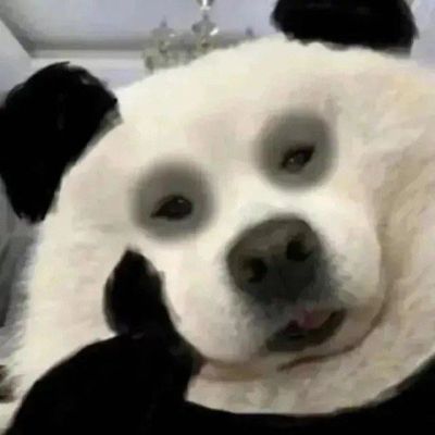 计算机网络