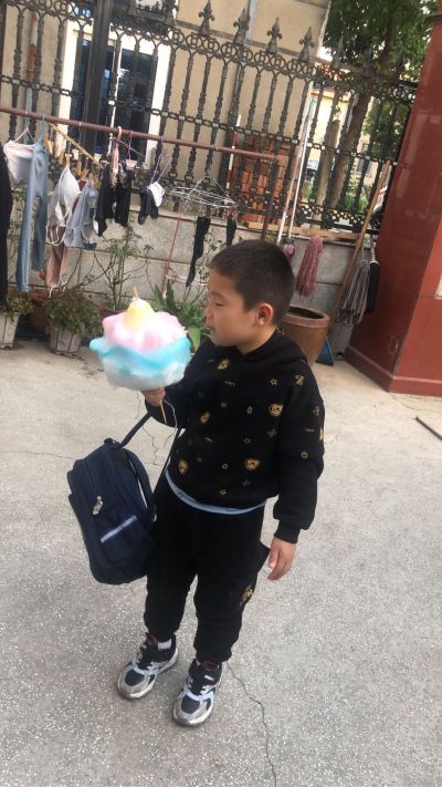 木工多种