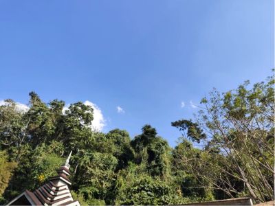 找木工.电工各一名，修复沙盘