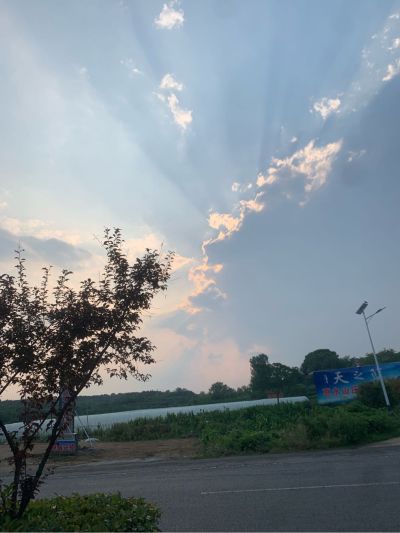 机电