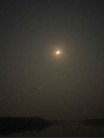 室内软装