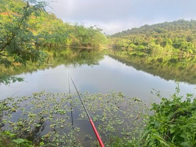 专业墙地砖