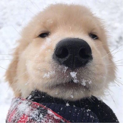 装修