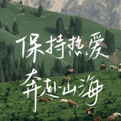 电工