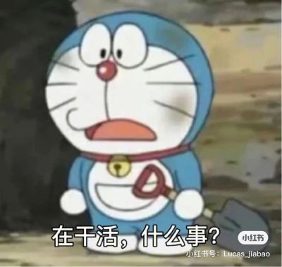 安装搬运