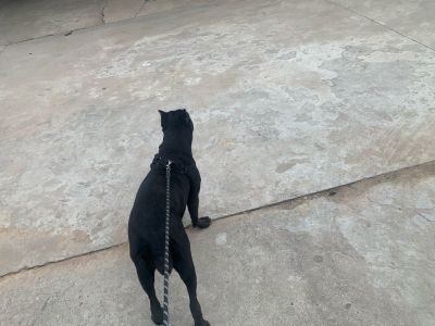 你好
