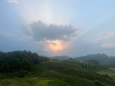 卫浴